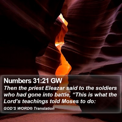 Numbers 31:21 GW Bible Verse Image