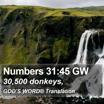 Numbers 31:45 GW Bible Verse Image