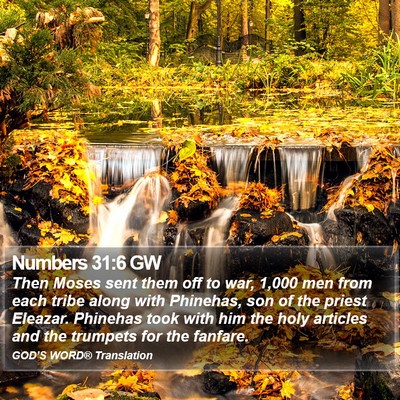 Numbers 31:6 GW Bible Verse Image