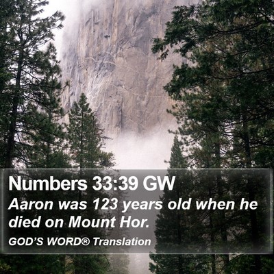 Numbers 33:39 GW Bible Verse Image