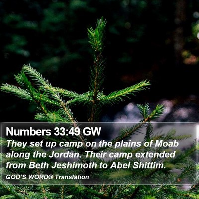 Numbers 33:49 GW Bible Verse Image