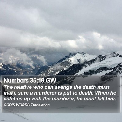 Numbers 35:19 GW Bible Verse Image