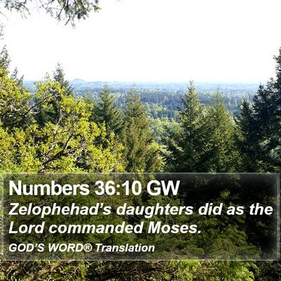 Numbers 36:10 GW Bible Verse Image