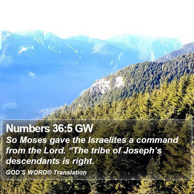 Numbers 36:5 GW Bible Verse Image