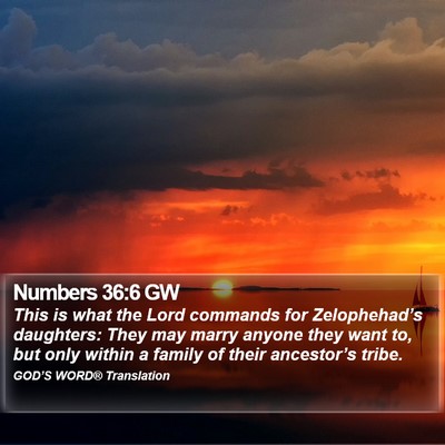 Numbers 36:6 GW Bible Verse Image