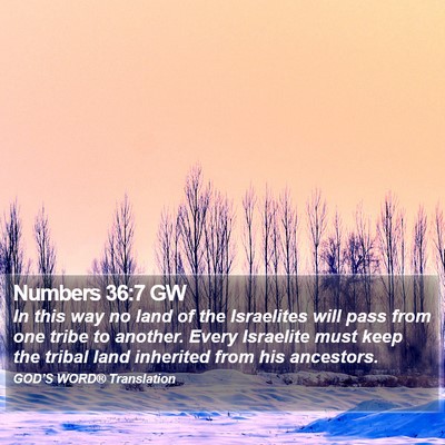 Numbers 36:7 GW Bible Verse Image