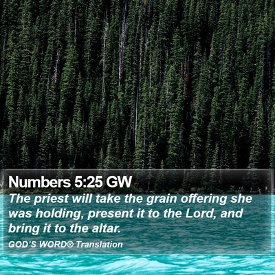 Numbers 5:25 GW Bible Verse Image