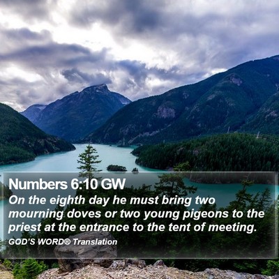 Numbers 6:10 GW Bible Verse Image