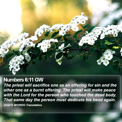 Numbers 6:11 GW Bible Verse Image