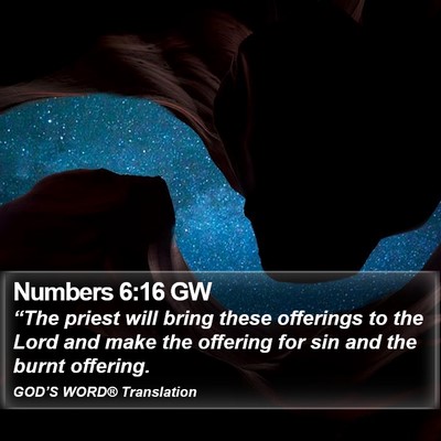 Numbers 6:16 GW Bible Verse Image