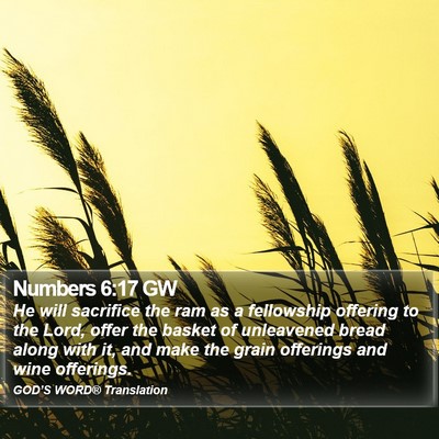 Numbers 6:17 GW Bible Verse Image