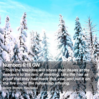 Numbers 6:18 GW Bible Verse Image