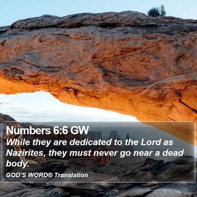 Numbers 6:6 GW Bible Verse Image