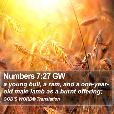 Numbers 7:27 GW Bible Verse Image