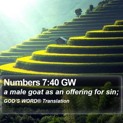 Numbers 7:40 GW Bible Verse Image