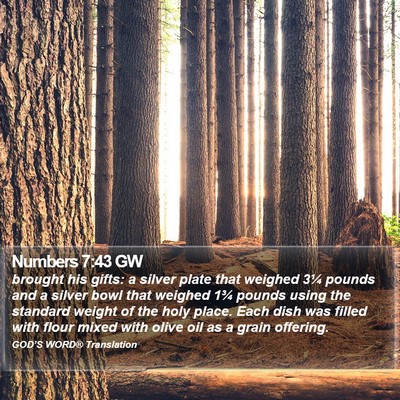 Numbers 7:43 GW Bible Verse Image