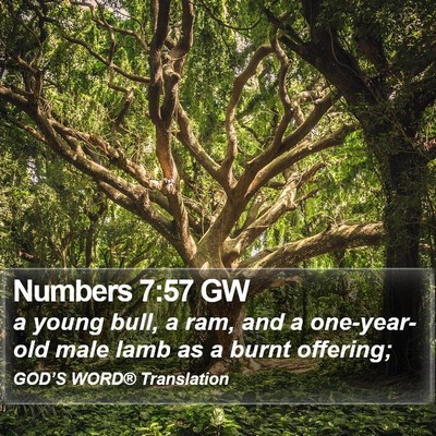Numbers 7:57 GW Bible Verse Image