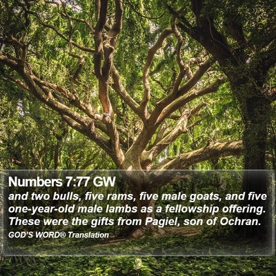 Numbers 7:77 GW Bible Verse Image