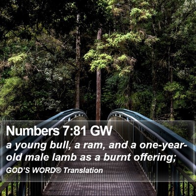 Numbers 7:81 GW Bible Verse Image