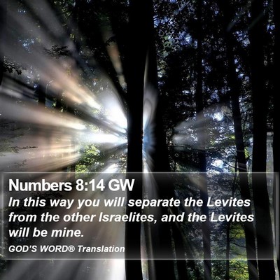 Numbers 8:14 GW Bible Verse Image