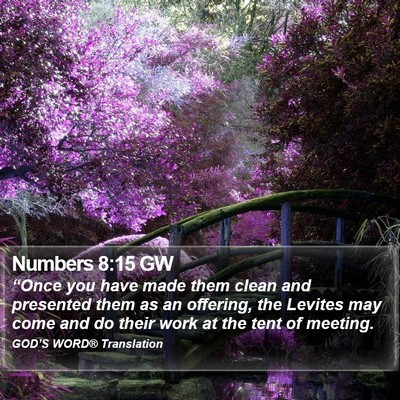 Numbers 8:15 GW Bible Verse Image