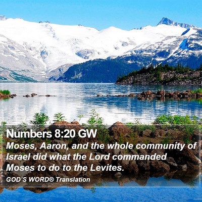 Numbers 8:20 GW Bible Verse Image