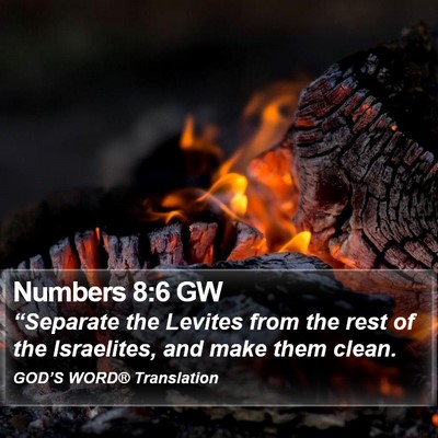 Numbers 8:6 GW Bible Verse Image