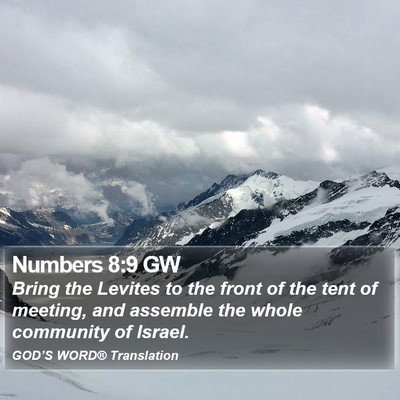 Numbers 8:9 GW Bible Verse Image