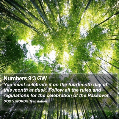 Numbers 9:3 GW Bible Verse Image