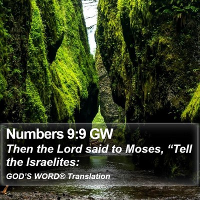 Numbers 9:9 GW Bible Verse Image