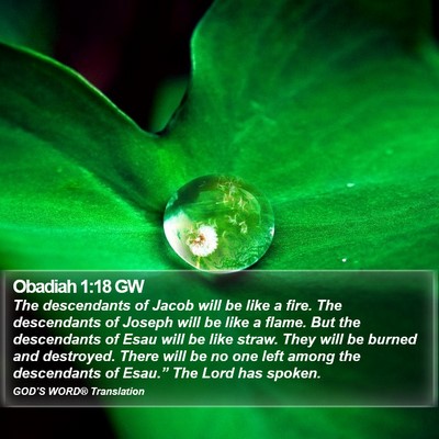 Obadiah 1:18 GW Bible Verse Image