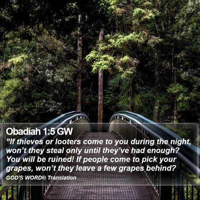 Obadiah 1:5 GW Bible Verse Image