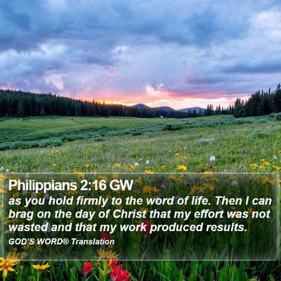 Philippians 2:16 GW Bible Verse Image