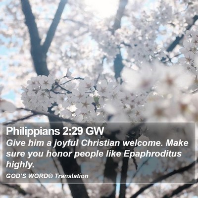 Philippians 2:29 GW Bible Verse Image