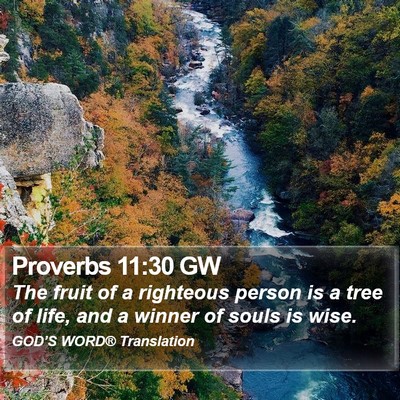Proverbs 11:30 GW Bible Verse Image