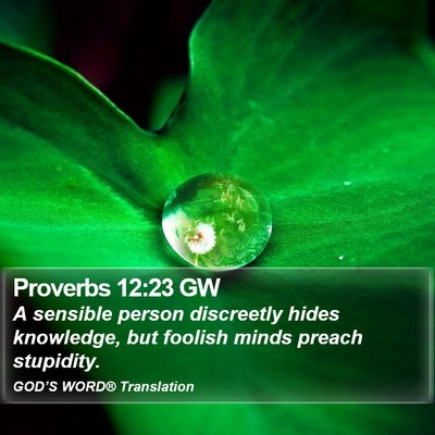 Proverbs 12:23 GW Bible Verse Image