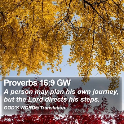 Proverbs 16:9 GW Bible Verse Image