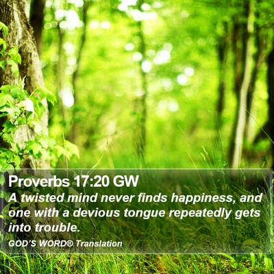 Proverbs 17:20 GW Bible Verse Image