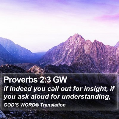 Proverbs 2:3 GW Bible Verse Image