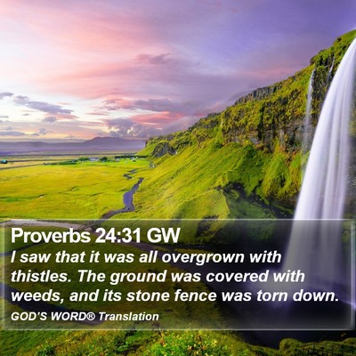 Proverbs 24:31 GW Bible Verse Image