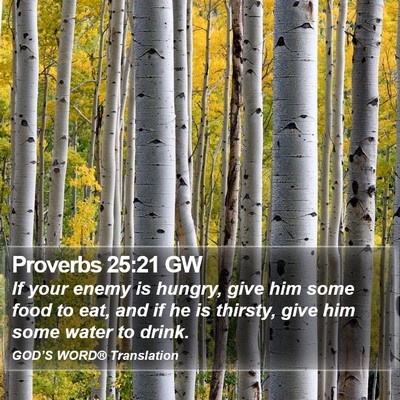 Proverbs 25:21 GW Bible Verse Image