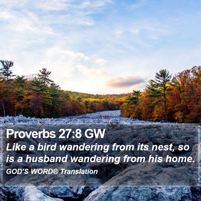 Proverbs 27:8 GW Bible Verse Image