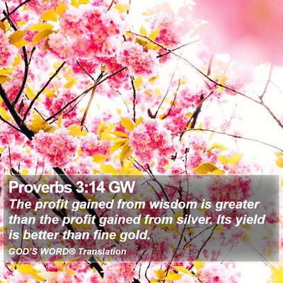 Proverbs 3:14 GW Bible Verse Image