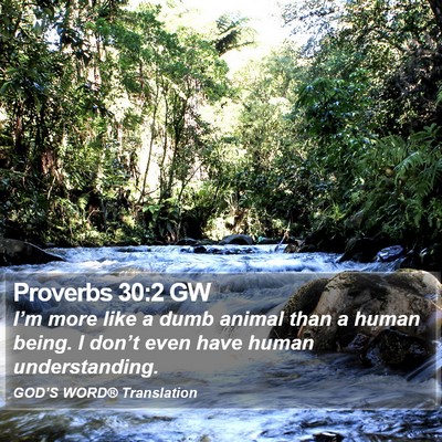 Proverbs 30:2 GW Bible Verse Image