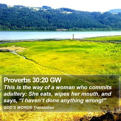 Proverbs 30:20 GW Bible Verse Image