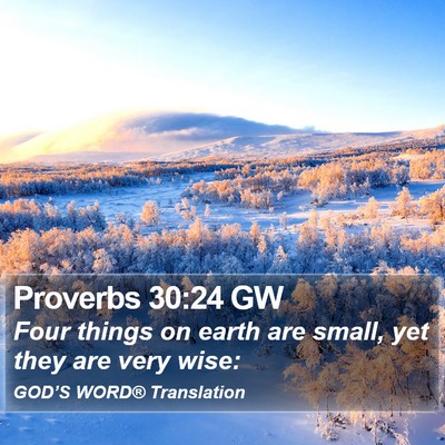 Proverbs 30:24 GW Bible Verse Image
