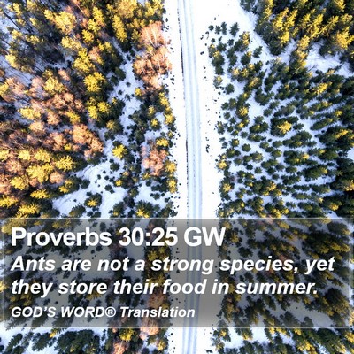 Proverbs 30:25 GW Bible Verse Image