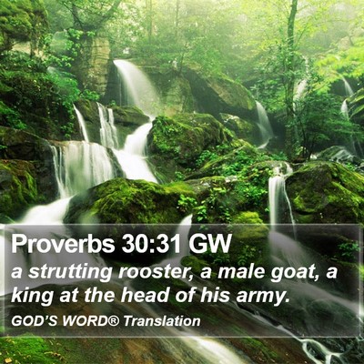 Proverbs 30:31 GW Bible Verse Image