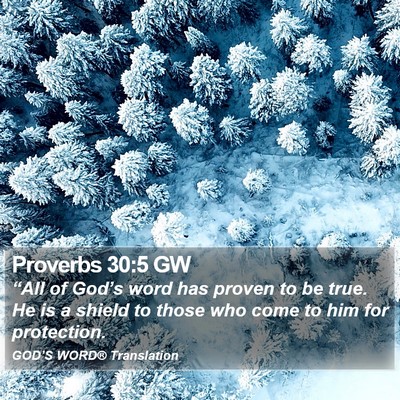Proverbs 30:5 GW Bible Verse Image