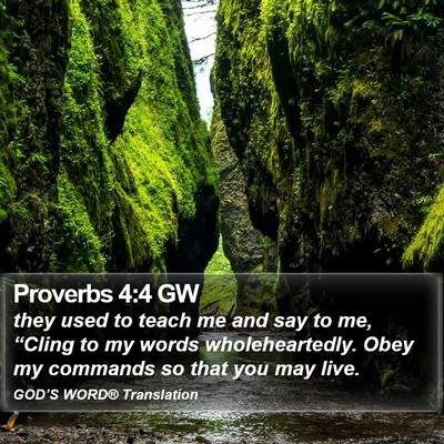Proverbs 4:4 GW Bible Verse Image
